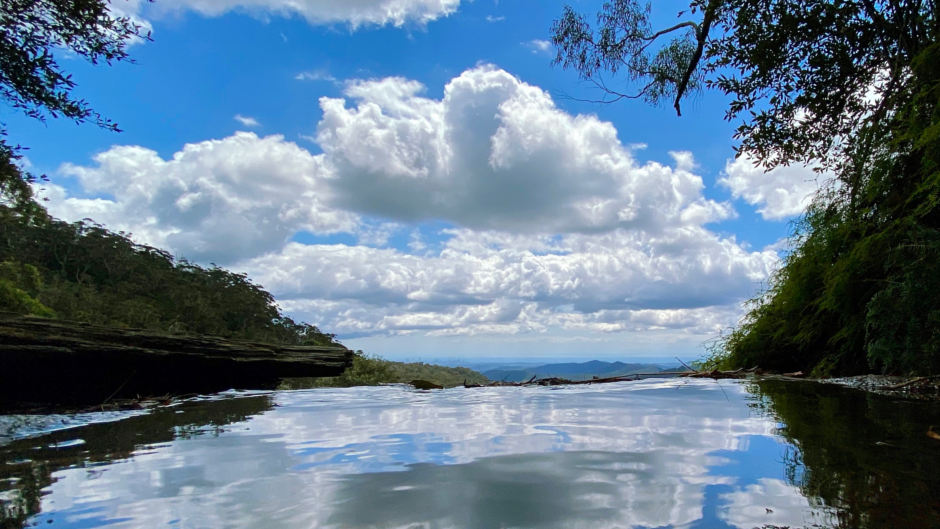 Discover the best of Springbrook, including its lush rainforest, impressive waterfalls, and spectacular lookouts, in just one day!